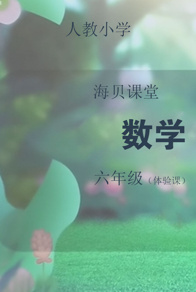 人教小学数学六年级（体验课）