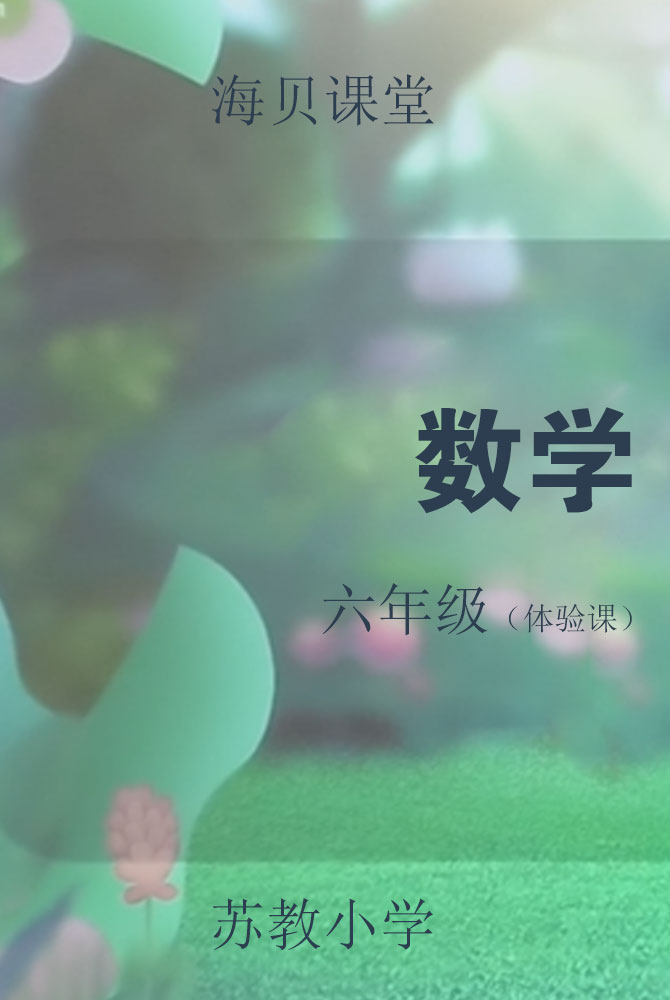 苏教小学数学六年级（体验课）